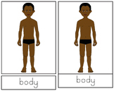 Parts of the Body, boy, Nomenclature. (3 Part cards)