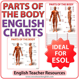 Parts of the Body in English - ESL Charts