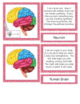 Preview of Parts of the Brain