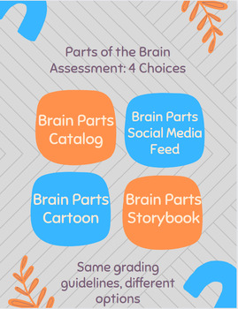 Preview of Parts of the Brain Assessment Choices