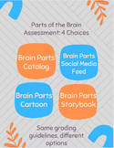 Parts of the Brain Assessment Choices