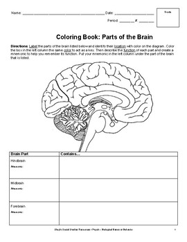 Parts of the Brain Chart by Natural INTJ's Resources for Social Studies