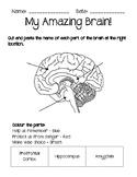 Parts of the Brain/ Growth Mindset/ Self-Regulation/ Socia
