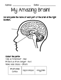 Parts of the Brain(Mindfulness/Self-regulation/MindUp/Soci