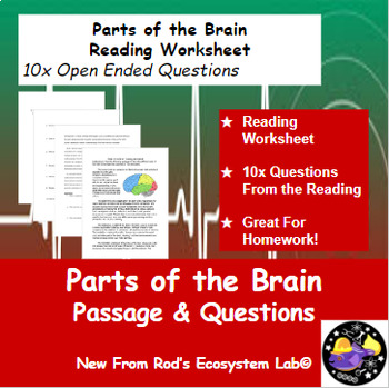 Preview of Parts of the Brain Reading Worksheet **Editable**