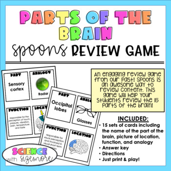 Preview of Parts of the Brain Spoons Review Game