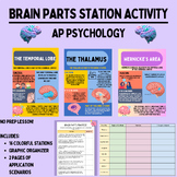 Parts of the Brain Stations & Application Activity Lesson 