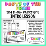 Parts of the Brain and Their Functions Lesson