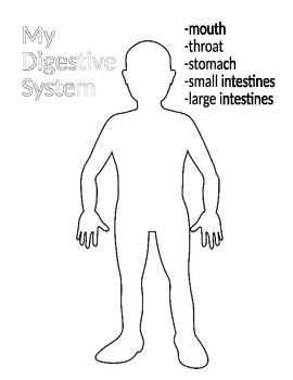 Parts of the Digestive System (Simple) by Melissa Schaeffer | TpT