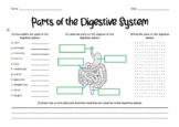 Parts of the Digestive System Worksheet