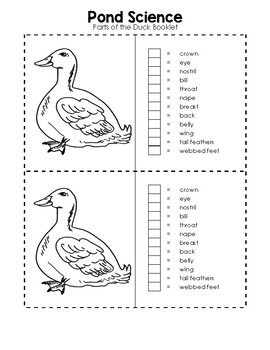 Parts of the Duck Booklet