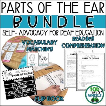 Preview of Parts of the Ear: BUNDLE