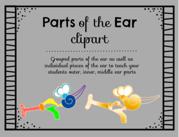 Preview of Parts of the Ear clipart