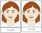 Parts of the Face, Girl Nomenclature. (3 part cards)
