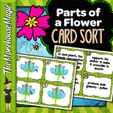 Parts of a Flower Card Sort | Science Card Sort