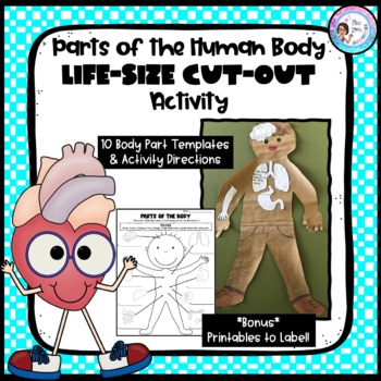 Preview of Parts of the Human Body Cut Out Activity