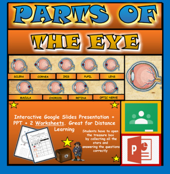 Preview of Parts of the Human Eye: Interactive Google Slides + PPT + 2 Worksheets