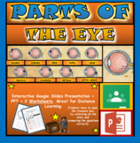 Parts of the Human Eye: Interactive Google Slides + PPT + 