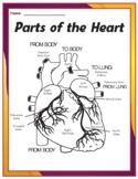 Parts of the Human Heart Printables Pack