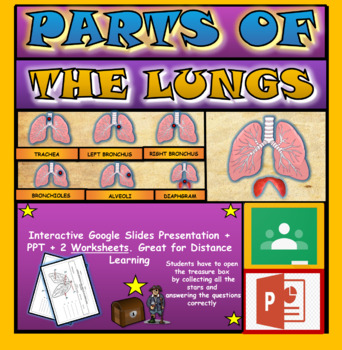 Preview of Parts of the Human Lungs: Interactive Google Slides + PPT  + 2 Worksheets