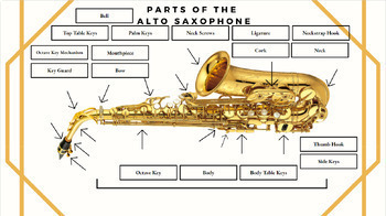 Preview of Parts of the Instrument Drag and Drop Digital Assignment for Band