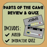 Parts of the Long White Cane PowerPoint + Quiz