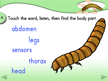 mealworm cartoon