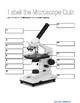 Parts of the Microscope Labeling Activity! by Mrs Flynn Science