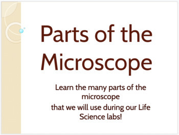 Preview of Parts of the Microscope Presentation - Google Slides Download!
