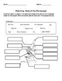 Microscope Worksheet | Teachers Pay Teachers