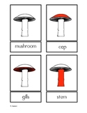 Parts of the Mushroom Three Part Cards for Fungi Unit