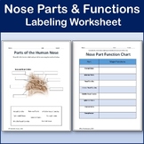 Parts of the Nose Diagram Labeling Worksheet - Science