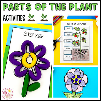 Parts of the Plant Activities by Tech Teacher Pto3 | TPT