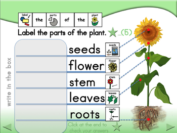 Parts of the Plant - Animated Step-by-Step Science Song - PCS by Bloom