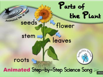 Parts of the Plant - Animated Step-by-Step Science Song - SymbolStix by ...