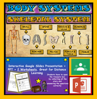 Preview of Parts of the Skeletal System: Interactive Google Slides + PPT + 2 Worksheet