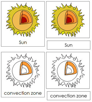 Parts of the Sun 3-Part Cards - Montessori Nomenclature | TPT