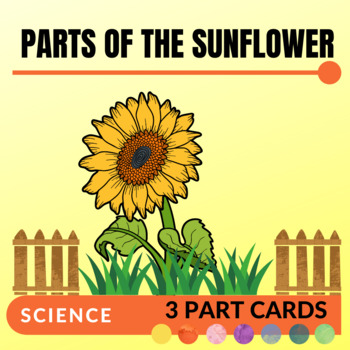 Preview of Parts of the Sunflower : Montessori Three Part Cards