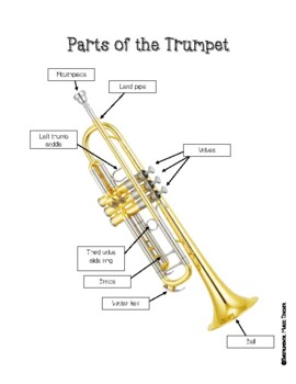 Preview of Parts of the Trumpet Diagram & Diagram to Label for Beginning Band