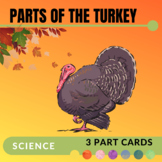 Parts of the Turkey : Three Part Cards