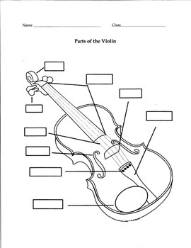 Parts of the Violin by Sapphire Greene | Teachers Pay Teachers