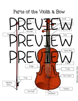 Preview of Parts of the Violin Diagram & Diagram to Label for Beginning Orchestra