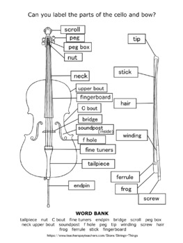 Preview of Parts of the Violin, Viola, Cello and Bass, with Assessments and Answer Keys