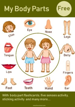 body parts kids teaching resources teachers pay teachers