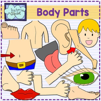 Preview of Parts of the body clipart {Science Clip art}
