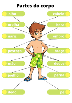 Preview of Parts of the body in Portuguese