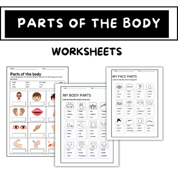 Preview of Parts of the body worksheet Anatomy Vocabulary Human body