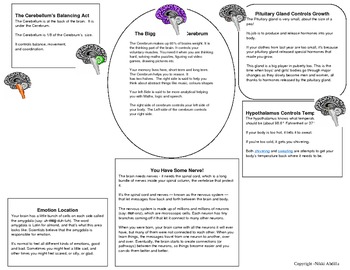 Preview of Parts of the brain