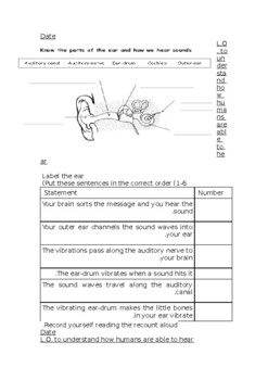 Preview of Parts of the ear - Differentiated Science Resource