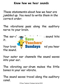 Parts Of The Ear and How We Hear Lesson Plan and Worksheet | TpT